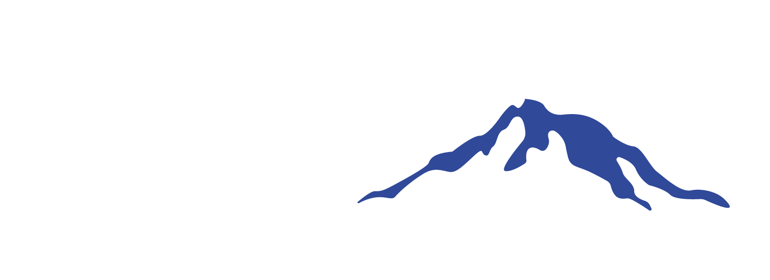 Washington Hosts Logo_Blue and White