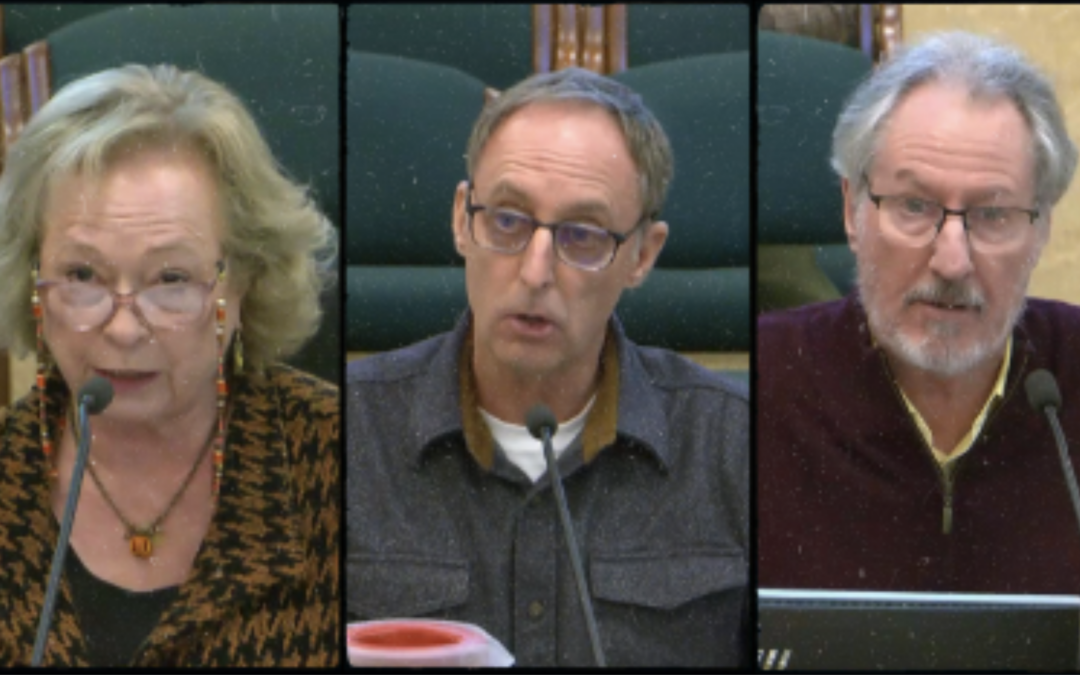 Our Voices at the Table: Testifying on HB 2559